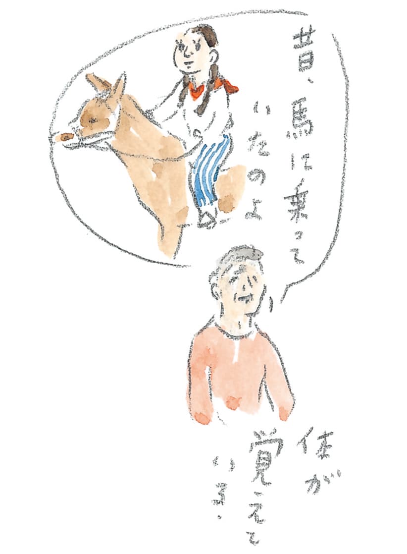第11回 トカラ馬（喜界馬）に会いに - 1/3