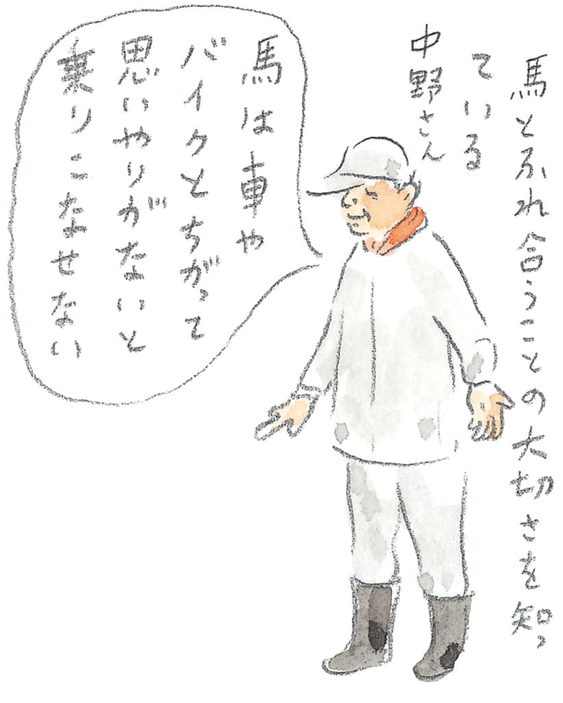 第11回 トカラ馬（喜界馬）に会いに - 2/3