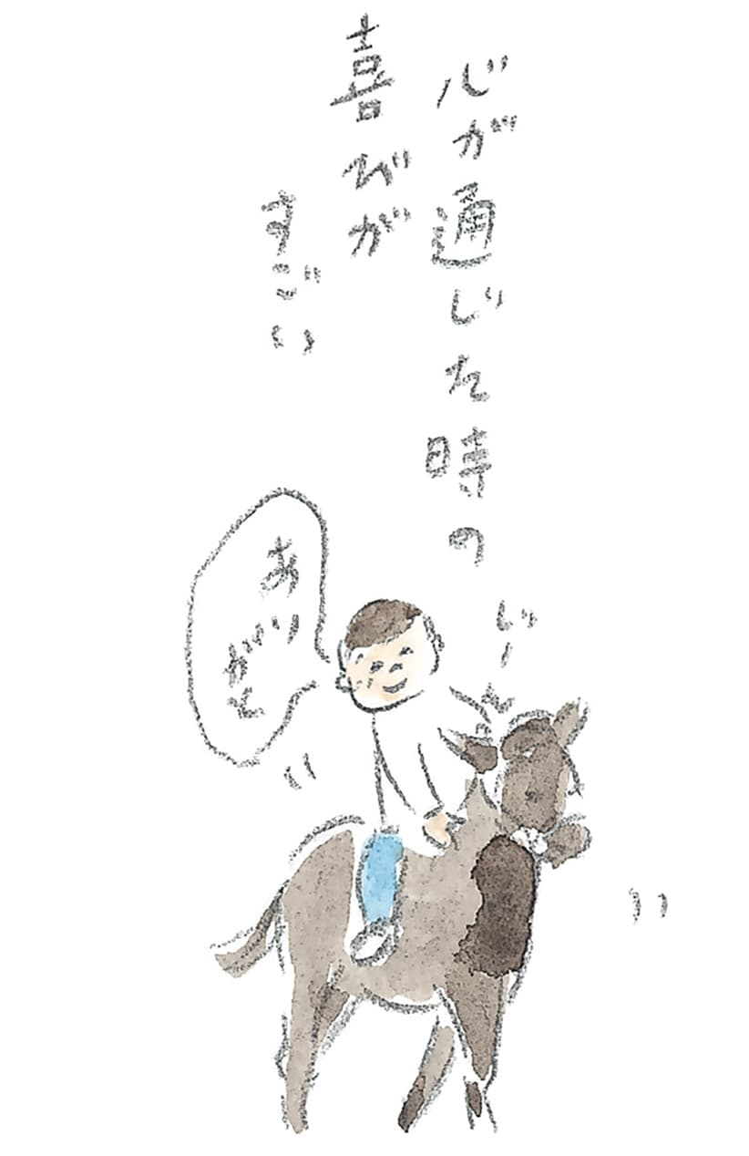 第11回 トカラ馬（喜界馬）に会いに - 3/3