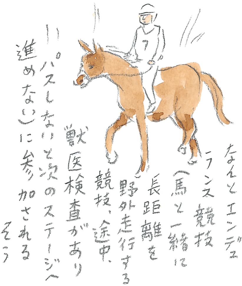 第11回 トカラ馬（喜界馬）に会いに - 3/3