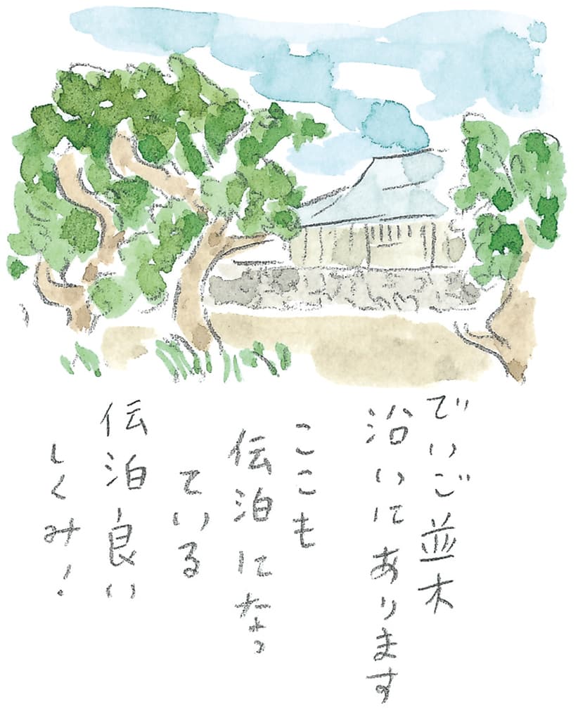 第11回 トカラ馬（喜界馬）に会いに - 1/3