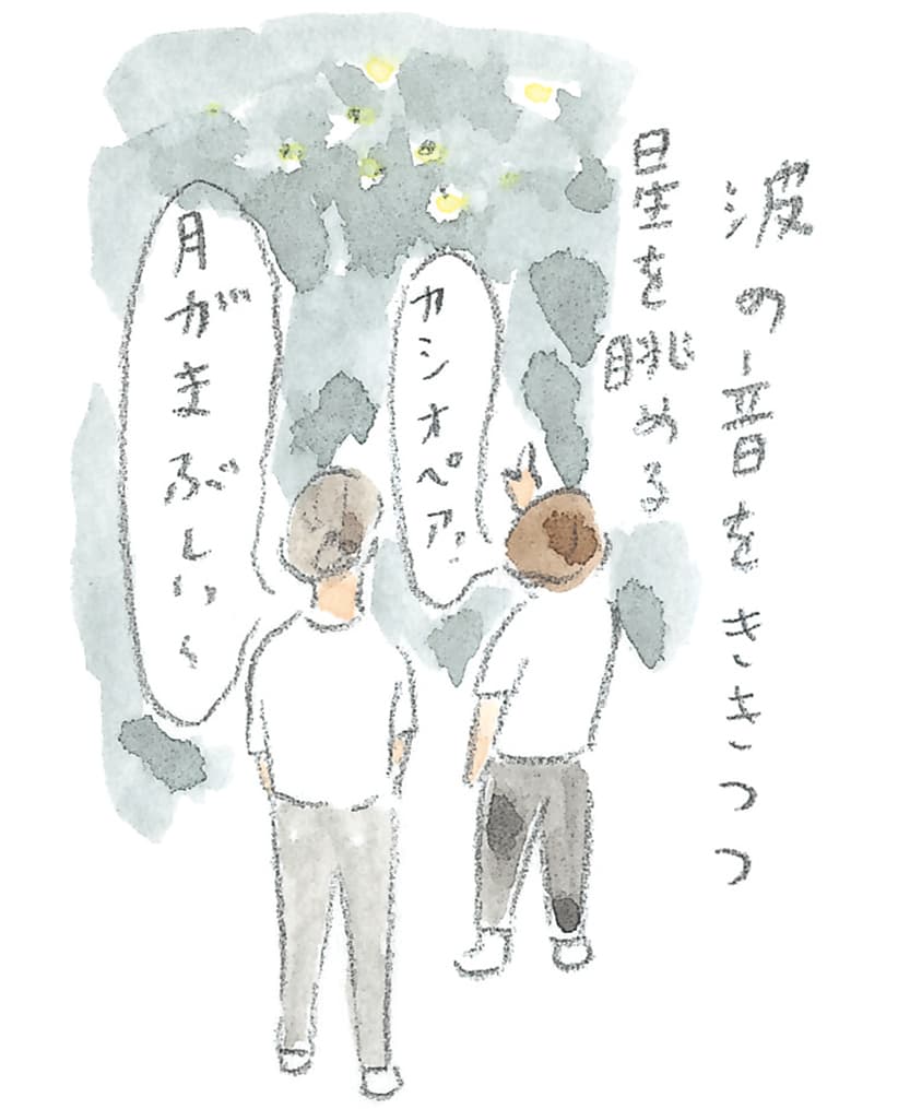 第11回 トカラ馬（喜界馬）に会いに - 3/3