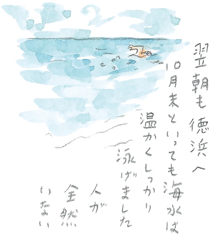 第11回 トカラ馬（喜界馬）に会いに - 1/2