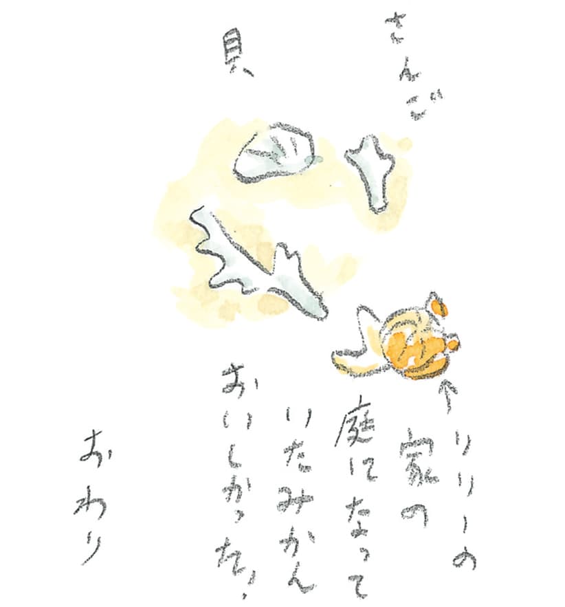 第11回 トカラ馬（喜界馬）に会いに - 2/2