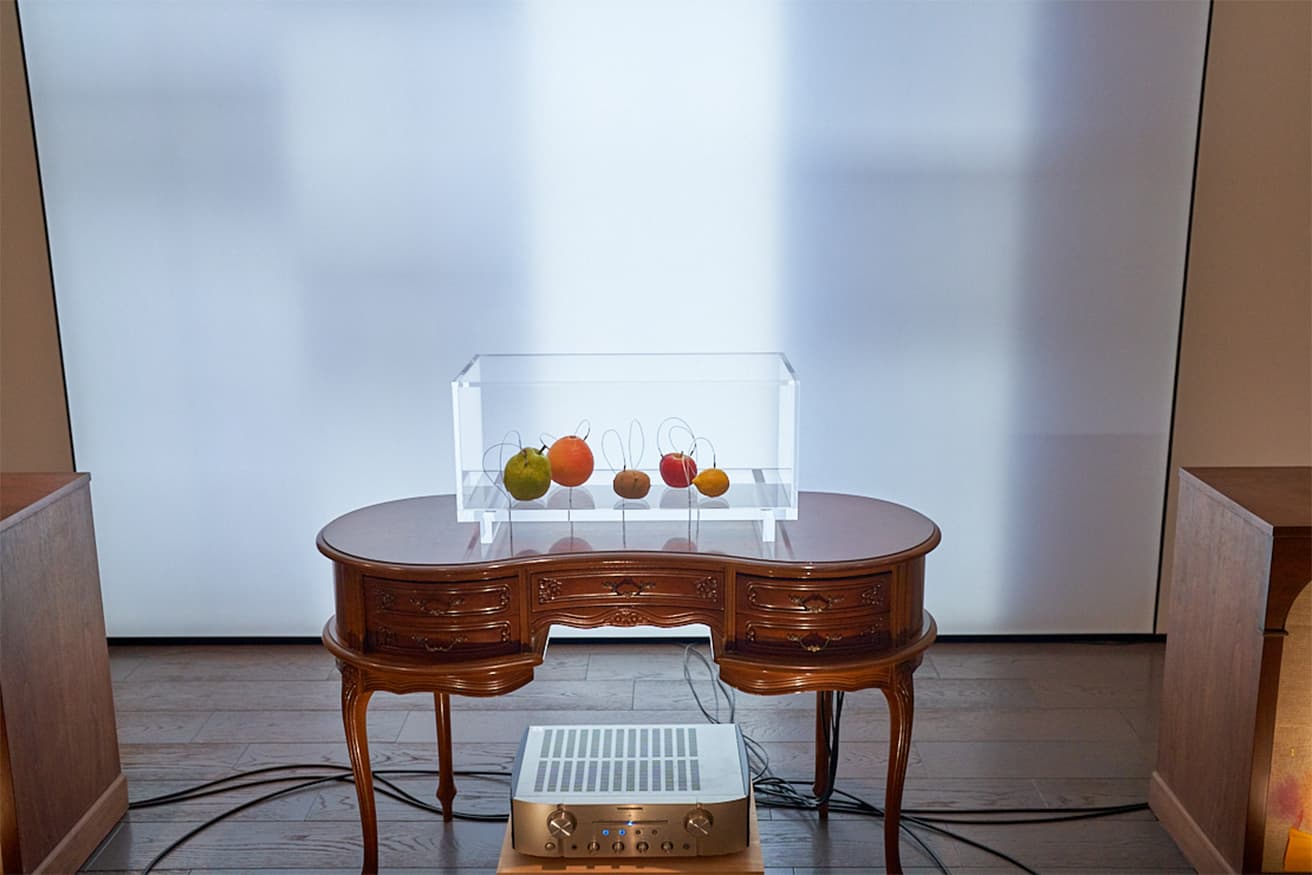 毛利悠子《Decomposition》（2021年〜）。電極を刺した果物の内部に生じる電気抵抗によって音を奏でる。ジョルジュ・ブラック《梨と桃》（1924年）など西洋絵画の伝統である静物画の先にある作品。　写真：kugeyasuhide
