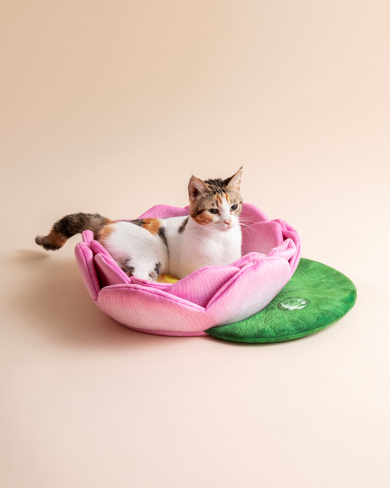 ネコチャンも大満足♡　《尊い猫さまを拝もう 蓮の花にゃんこクッション》9,773円。