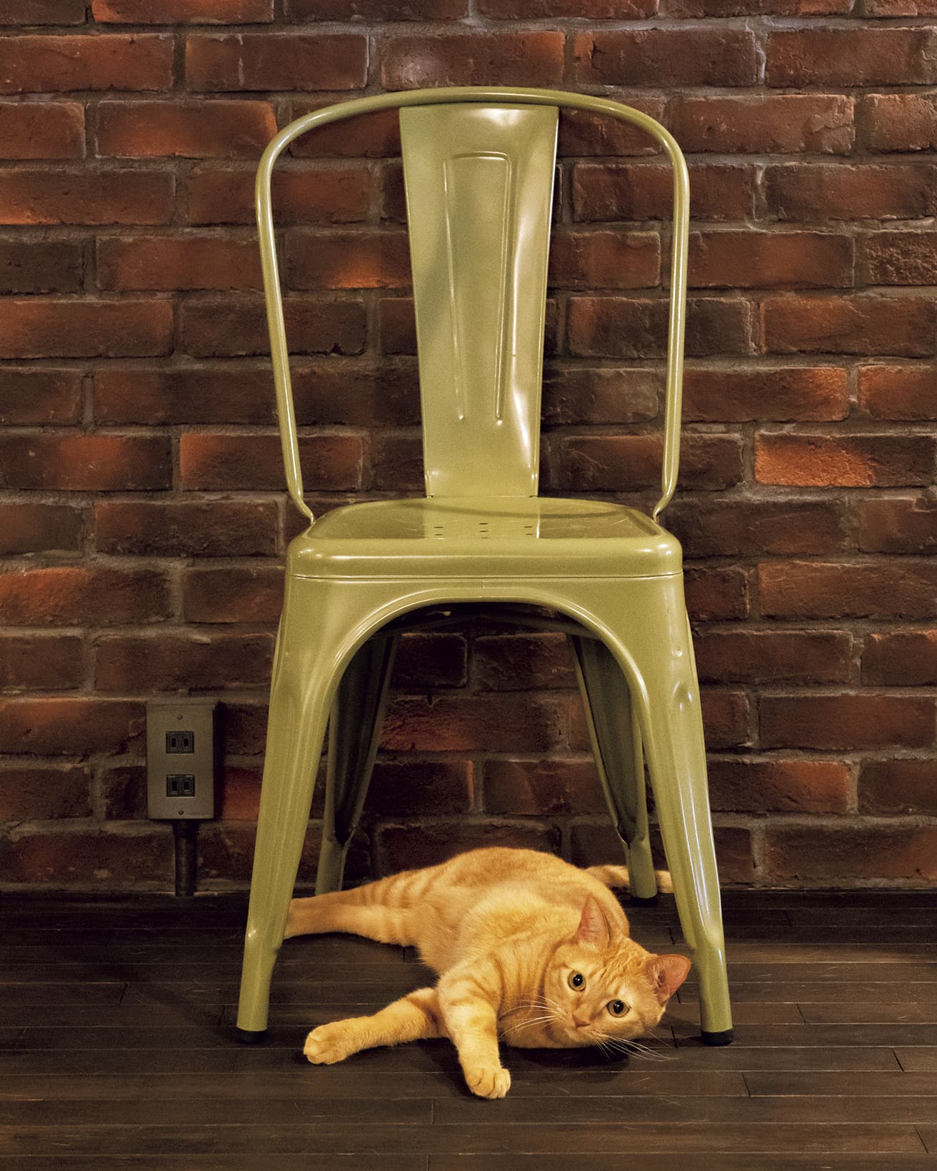 グザビエ・ポシャールの《A-Chair》と、猫のねごと（ミックス）。