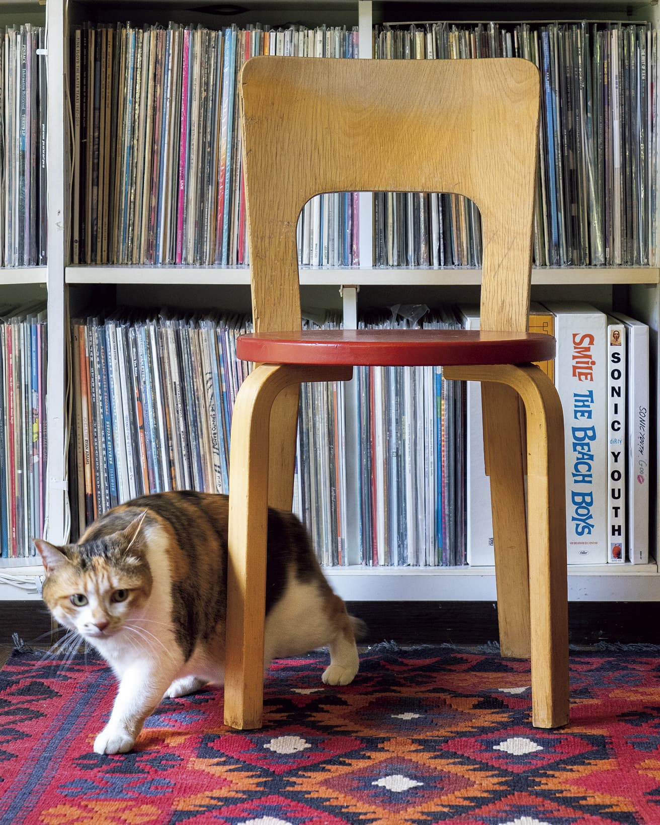 アルヴァ・アアルトの《Chair 66》と、猫のポチ実（ミックス）。