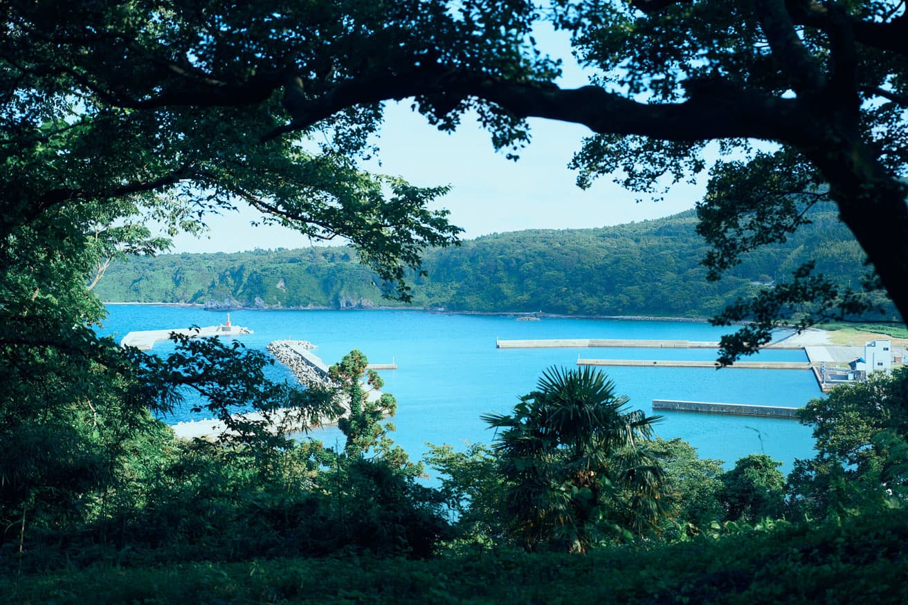 能登半島では里山が海に迫り、その海も半島の南北で外浦・内浦と分かれてそれぞれに個性的な景色や生き物の暮らしを育む（2023年7月撮影）。photo_Takeshi Shinto
