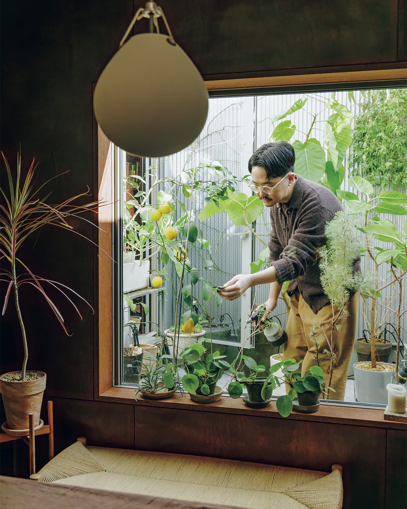 中庭で植物のお手入れ。