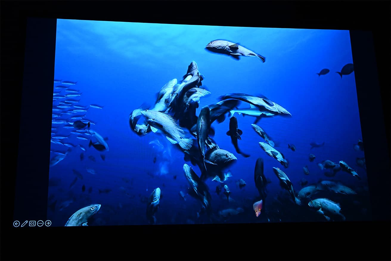 深海で撮影する様子。