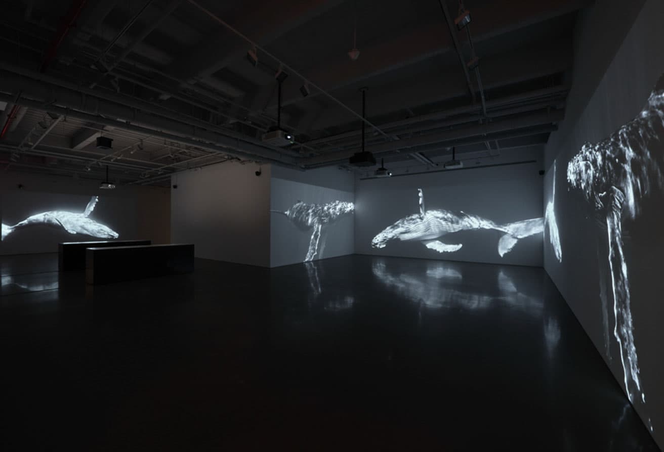 Soundwalk Collective &amp; Patti Smith ‘Correspondences’ - kurimanzutto NY (installation view), courtesy of kurimanzutto
