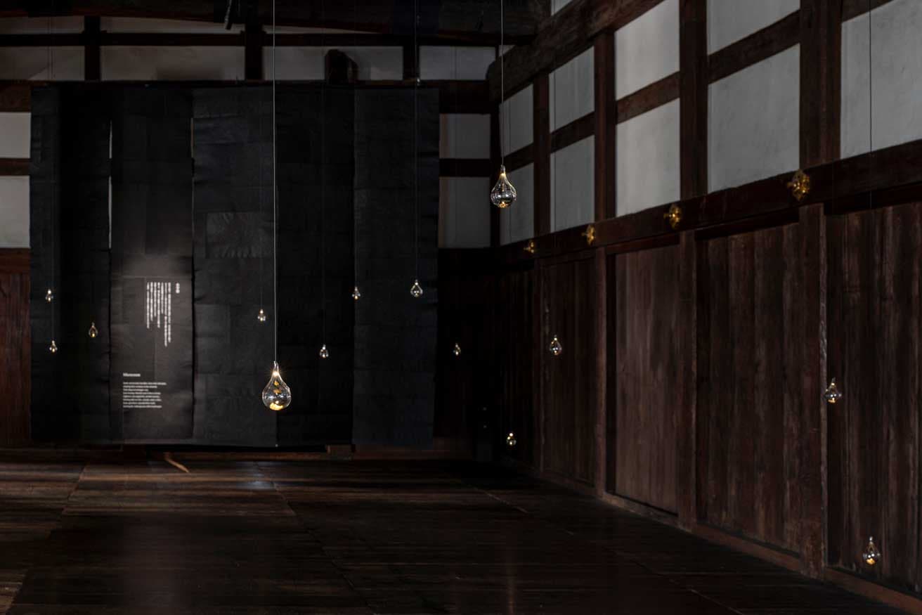 Room1「エントランス」にて電球の明かりのごとく、浮かぶように展示されているのは種子そのもの。