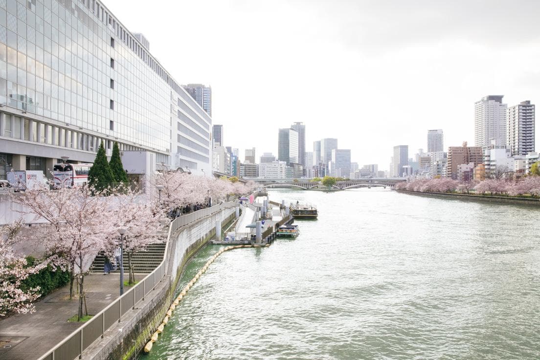 桜の時期に、大川右岸の八軒家浜から見た大川の風景。　photo_Yoshiaki Tsutsui