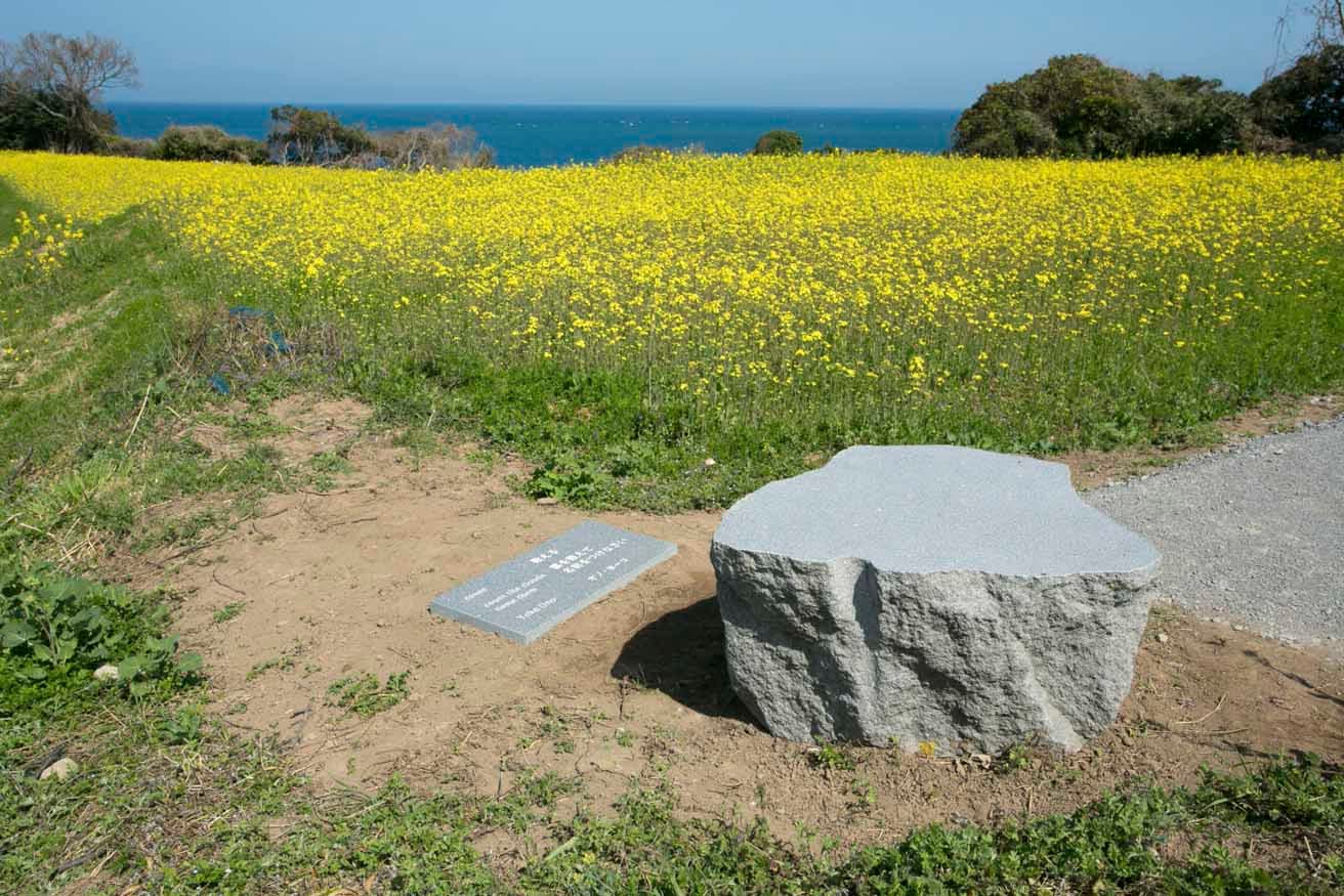 香々地エリアに恒久設置されたオノ・ヨーコの《見えないベンチ》photo_Takashi Kubo
