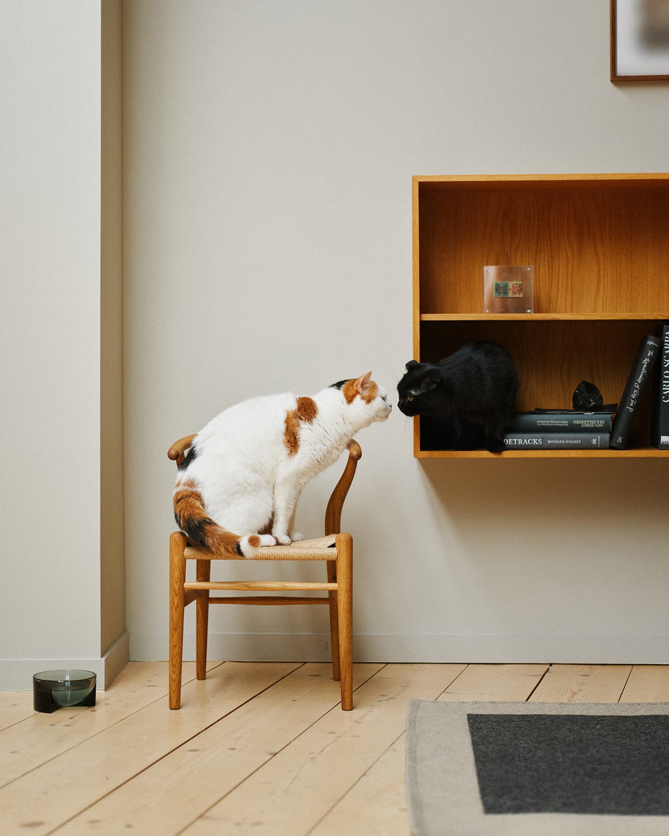くんくんくん。自分だけの居場所があることで猫たちもリラックスできる。《CH24 チルドレン・Yチェア》100,100円。