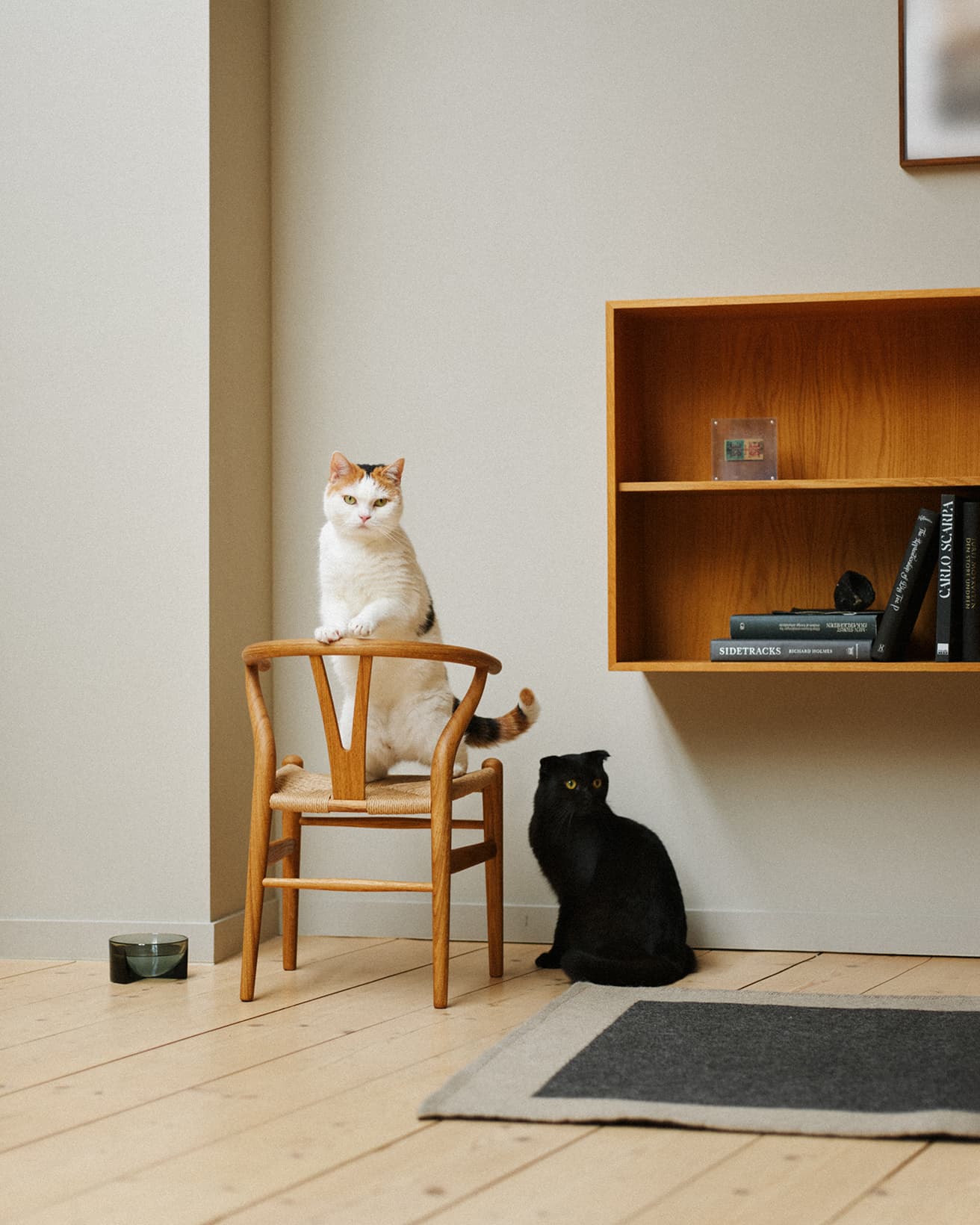 サイズはH510×D340×W380mm。猫用にもぴったり。《CH24 チルドレン・Yチェア》 100,100円。
