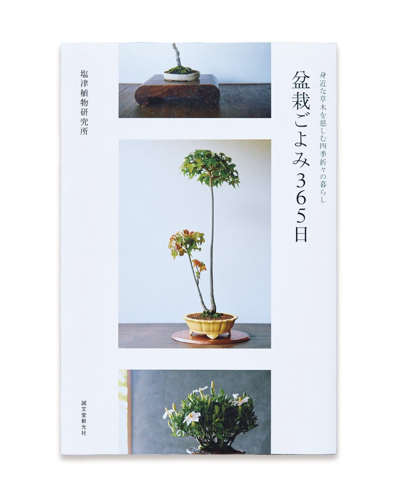 盆栽をもっと身近に感じる提案。〈塩津植物研究所〉が2年間撮り溜めた盆栽の数々が書籍に。