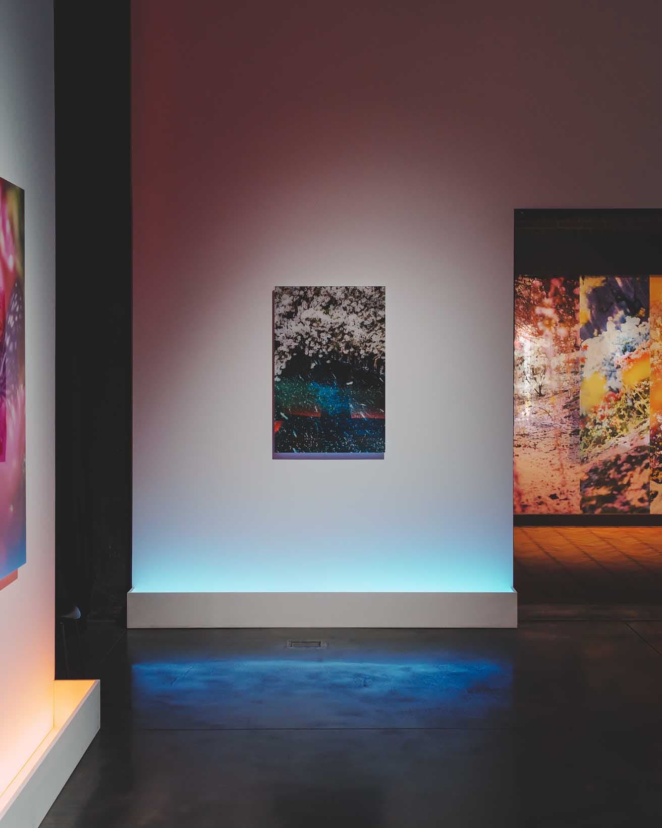 『蜷川実花展 with EIM：儚くも煌めく境界 Where Humanity Meets Nature』展示風景。
