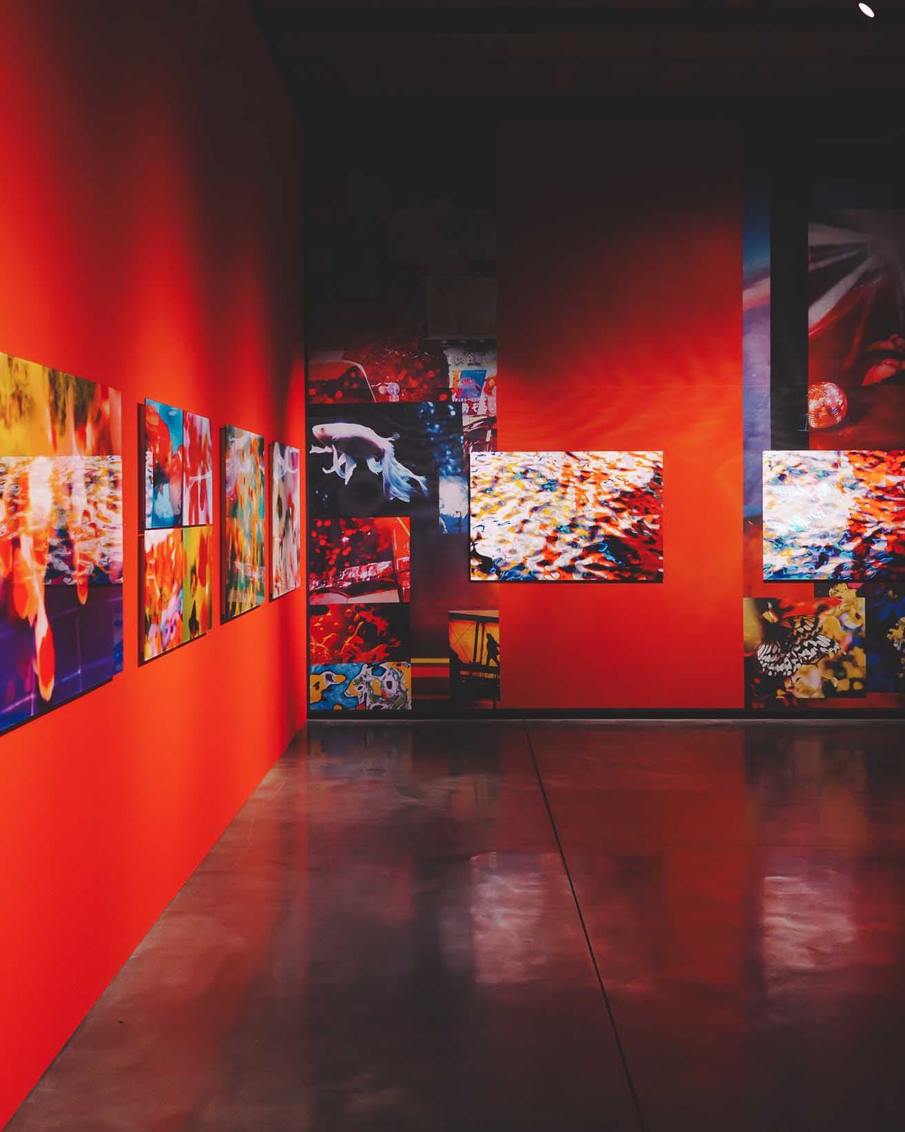 『蜷川実花展 with EIM：儚くも煌めく境界 Where Humanity Meets Nature』展示風景。都市と金魚とが並置されている。
