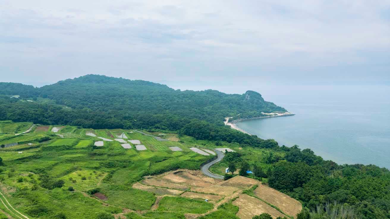 海を望む傾斜に広がる棚田。温暖な気候を利用とした柑橘栽培も盛ん。