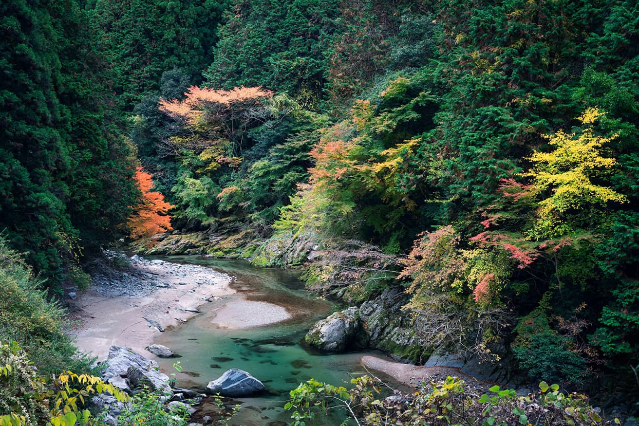 村に流れている高見川。その川沿いにアトリエが点在する。写真：西岡潔