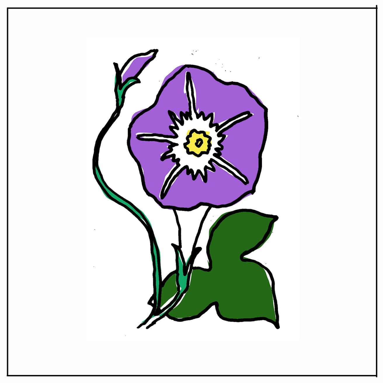 ある花が満開の頃に千利休に茶会に招かれた秀吉は、その花を使った利休の演出に感心した。その花とは？