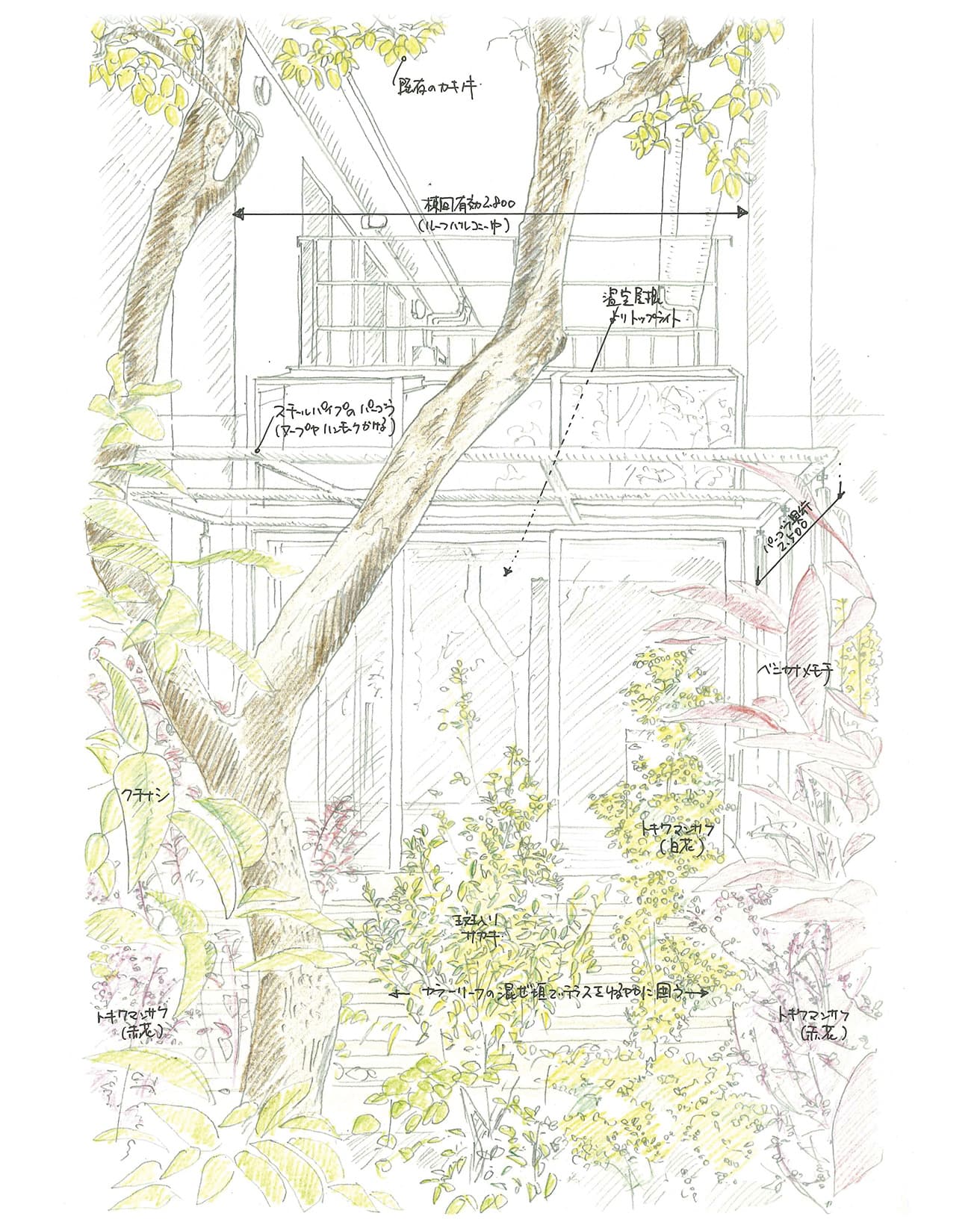 古谷俊一〈スイシャハウス〉のスケッチ。植栽を建築と同列で考えるプロセス。