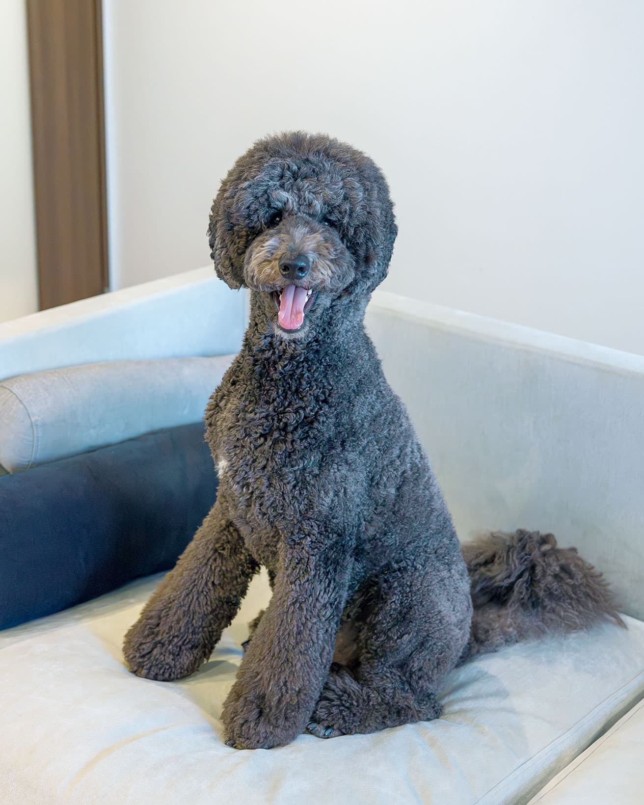 お気に入りのソファで。