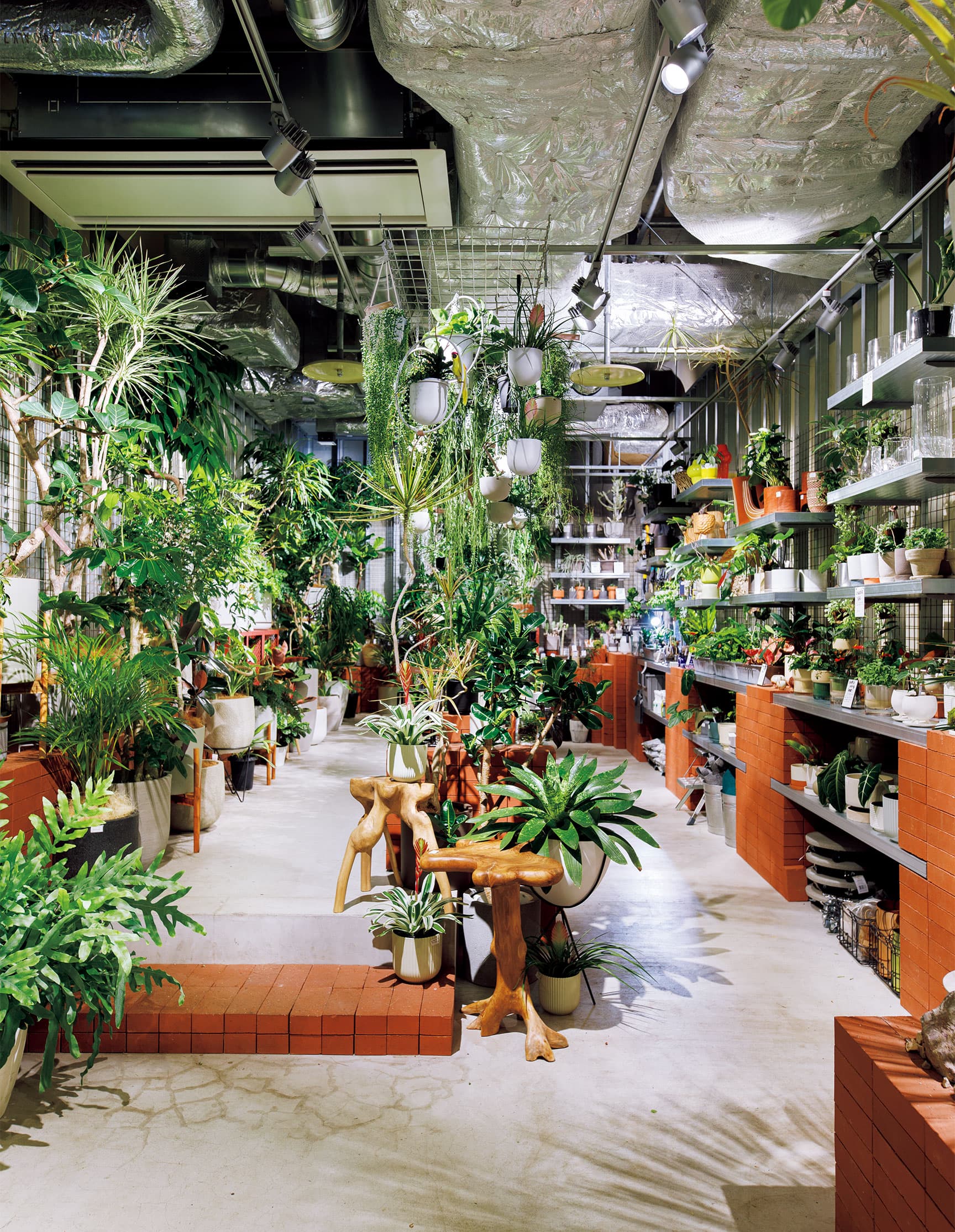 お家を彩るインドアグリーン最旬ショップ4選｜カーサブルータスのお墨付き