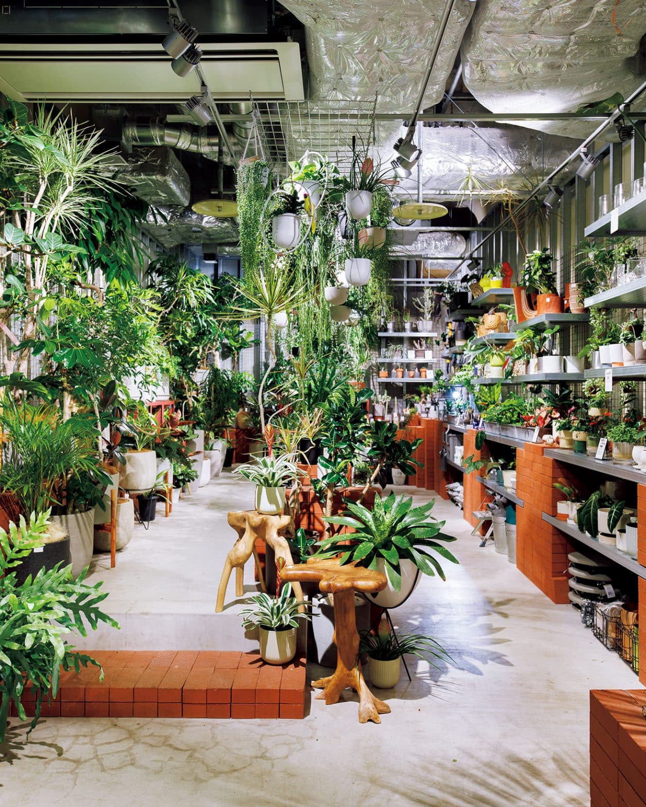 お家を彩るインドアグリーン最旬ショップ4選｜カーサブルータスのお墨付き