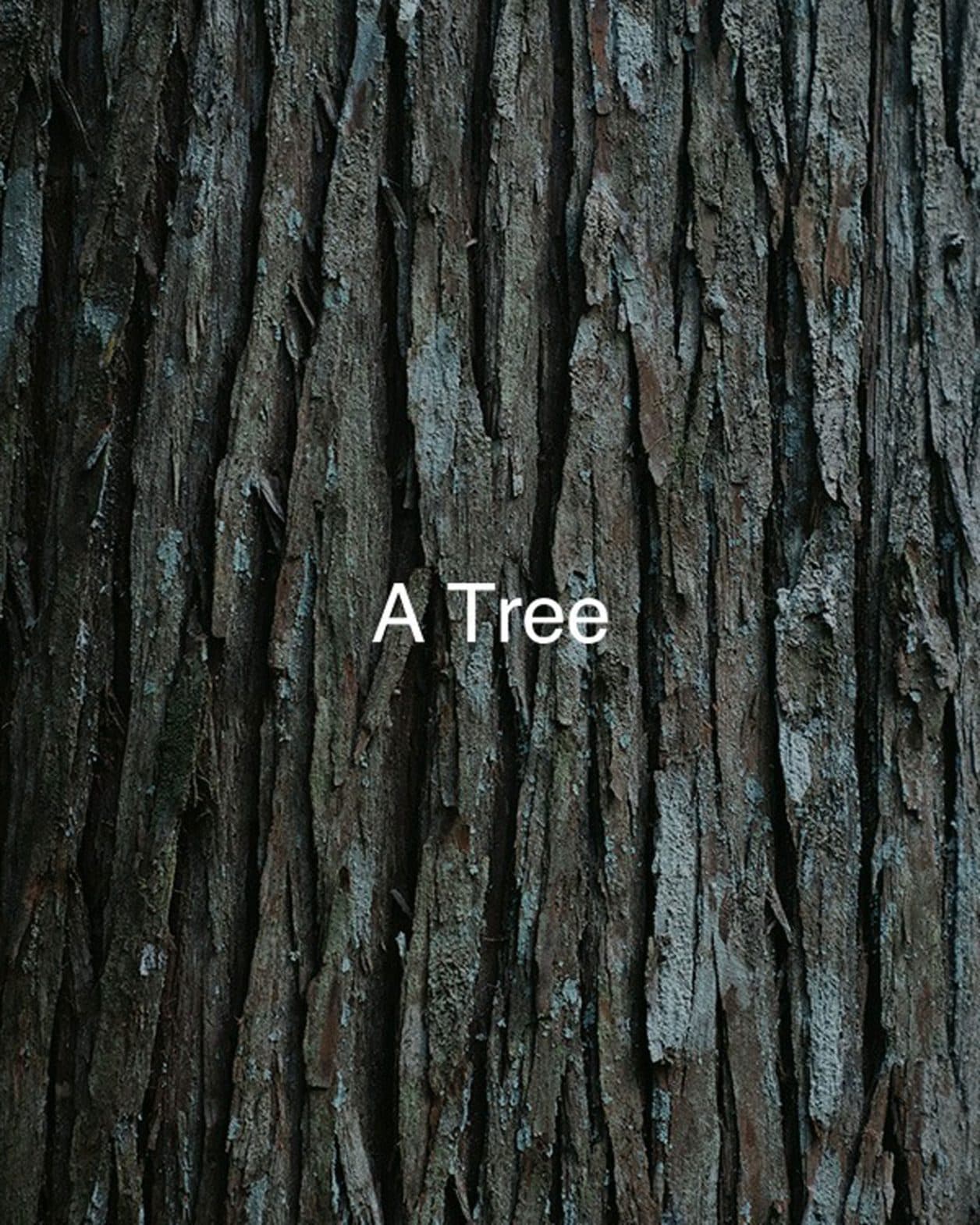 〈GINZA SIX〉が〈DAIKEI MILLS〉と取り組むアートプロジェクト《A Tree》のトークセッションを開催。