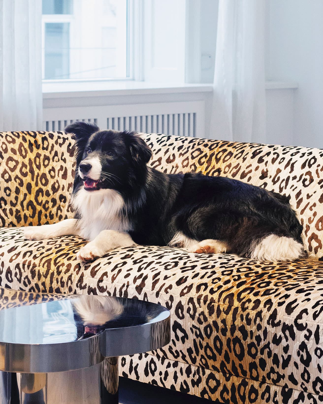 ポーテはデンマーク語で「犬や猫の足」の意味。