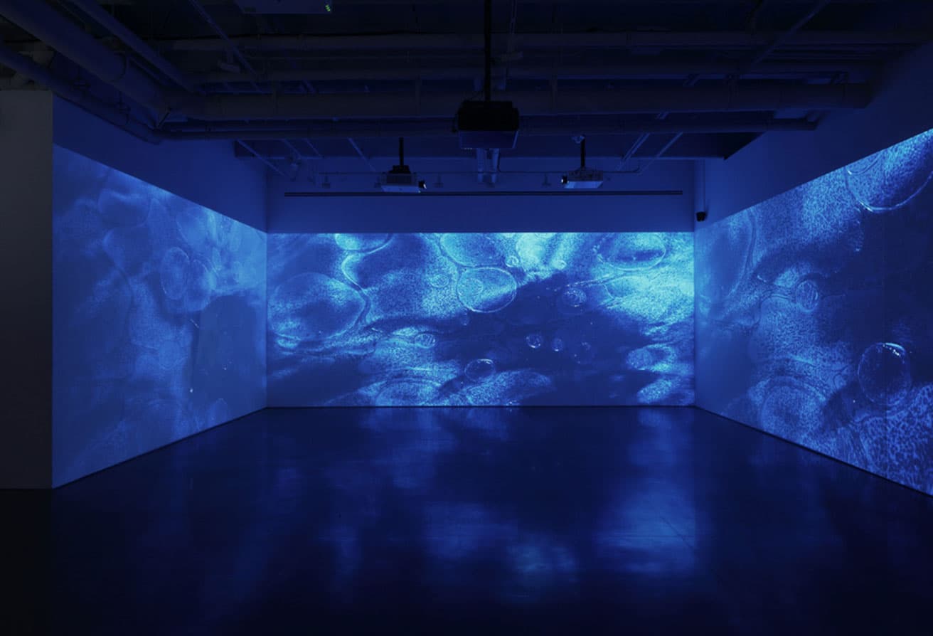 Soundwalk Collective &amp; Patti Smith ‘Correspondences’ - kurimanzutto NY (installation view), courtesy of kurimanzutto
