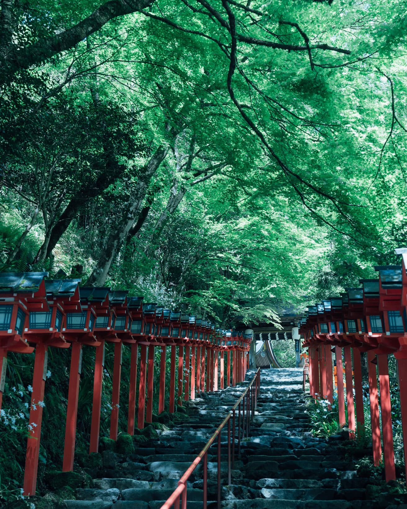 貴船神社。毎年6月1日には「貴船祭」が行われる。