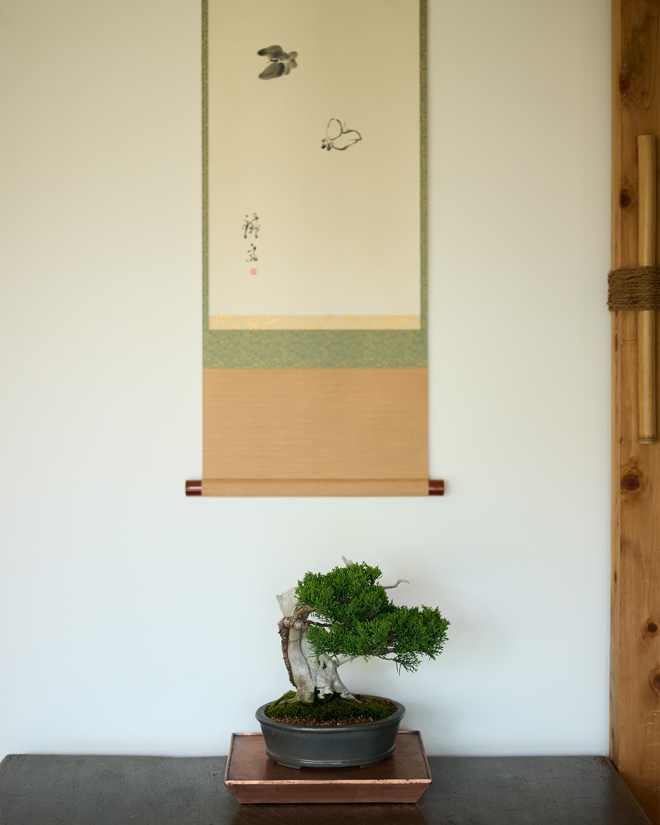 盆：鉄釉外縁下紐楕円（てつゆうそとえんしたひもだえん）。栽：真柏（しんぱく）。盆栽は屋外で育て、季節や招く人に合わせて部屋に置き、もてなすものでもある。掛軸と併せて手本となる設え。