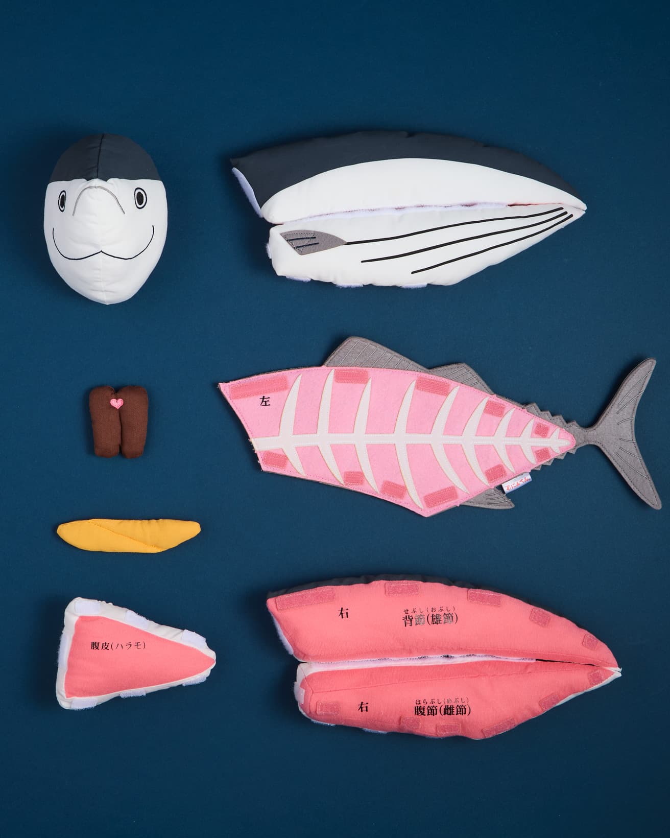 頭、背節、腹節、中骨、腹皮、心臓、たまごと部位ごとに着脱できる設計。ここまで再現されたら、カツオの構造が脳裏に焼きつかないわけがない。