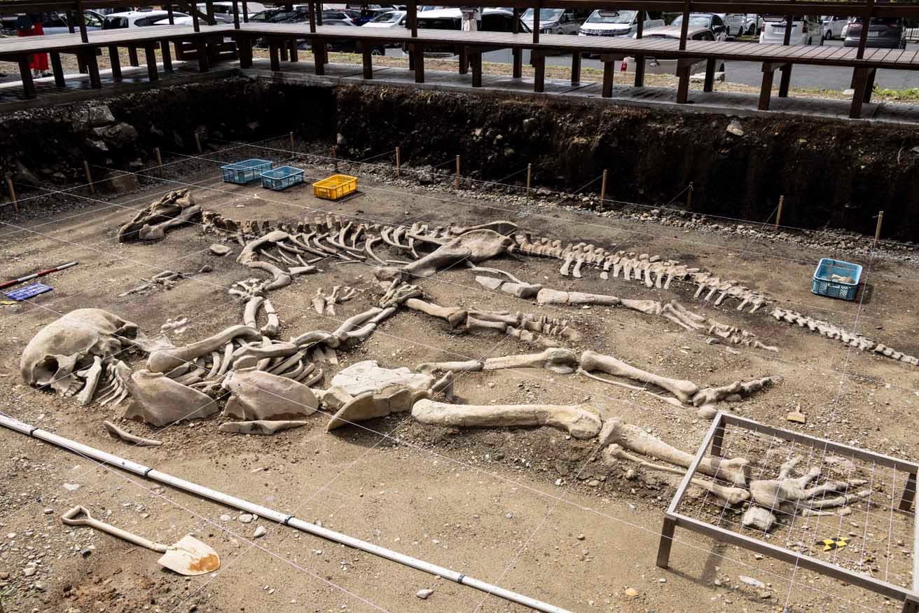 トゥ・ウェイチェン［涂維政］《飛騨神話遺跡 – 両面宿儺 神龍退治》。“発掘現場”の大きさは14×9メートルある。