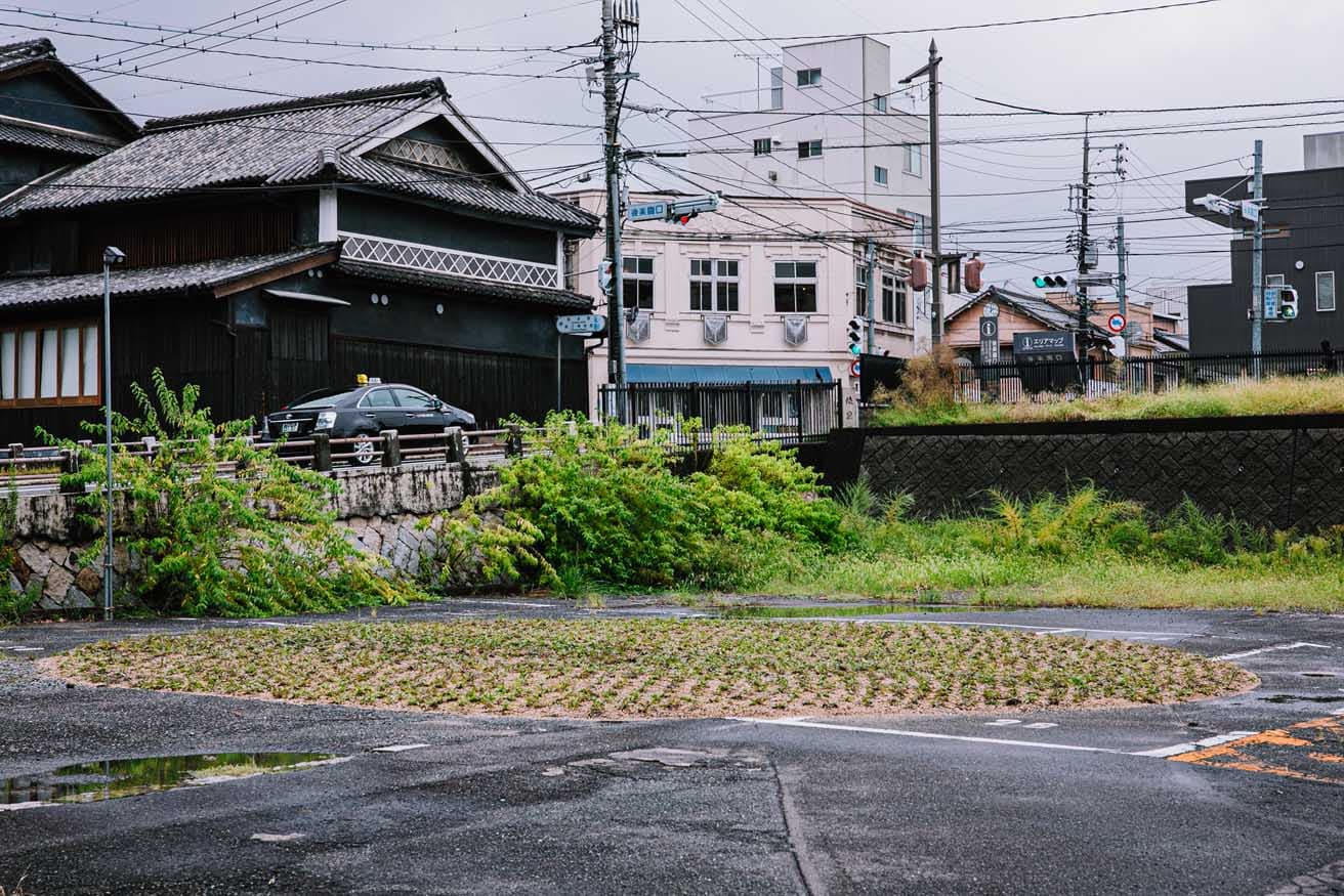 フリーダ・エスコベド《SOL（太陽）》（2025年）　©︎ 岡山芸術交流2025
