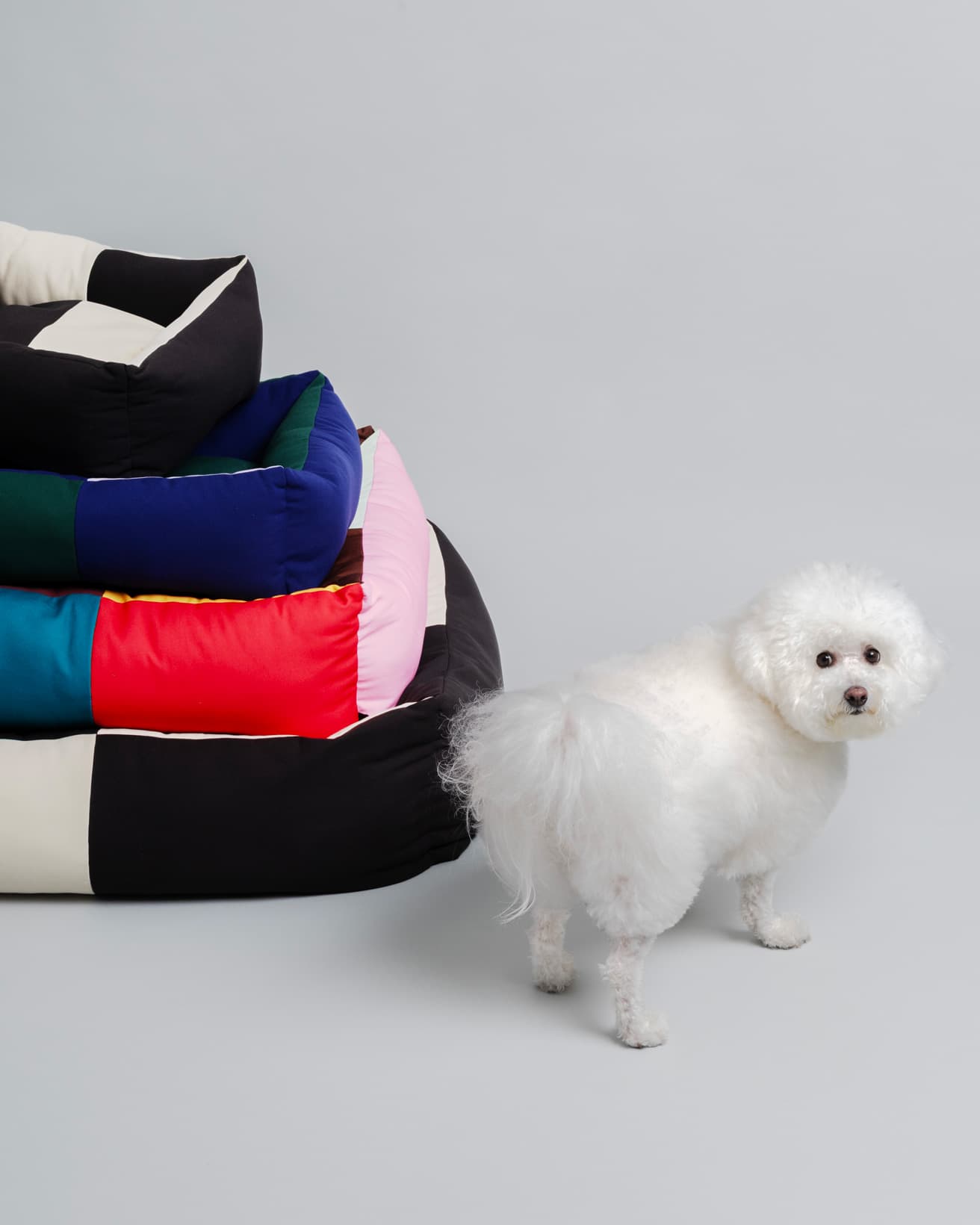 耐久性に優れた素材で作られた《DOGS BED》は4サイズ展開。上から《DOGS BED XS》W43×D52×H21cm、12,100円。《DOGS BED S》W52×D60×H21cm、13,200円。《DOGS BED M》W65×D78×H26cm、22,000円。《DOGS BED L》W75×D96×H30cm、33,000円。