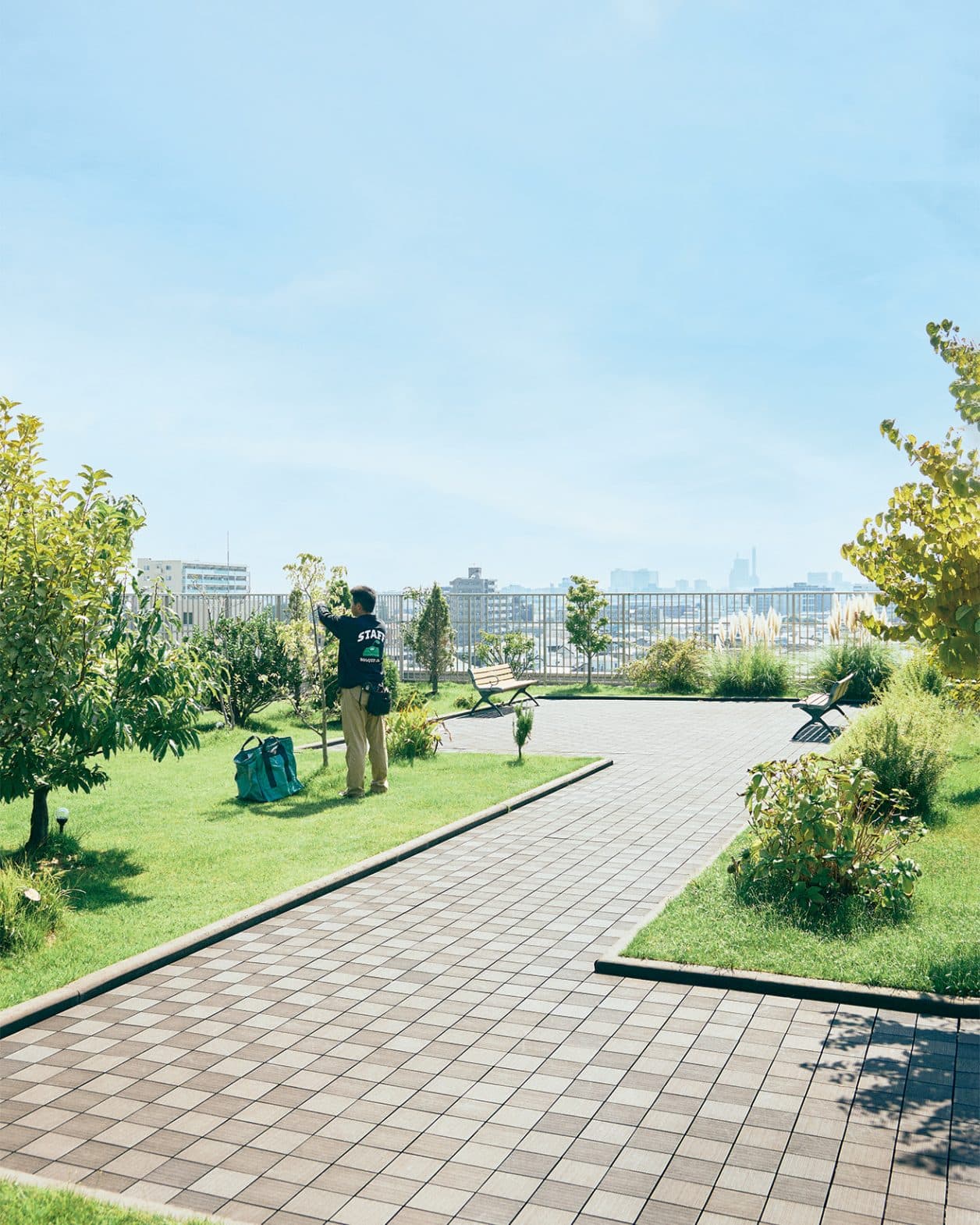 植物のある暮らしに寄り添う、〈ボスケ〉の緑化マット。