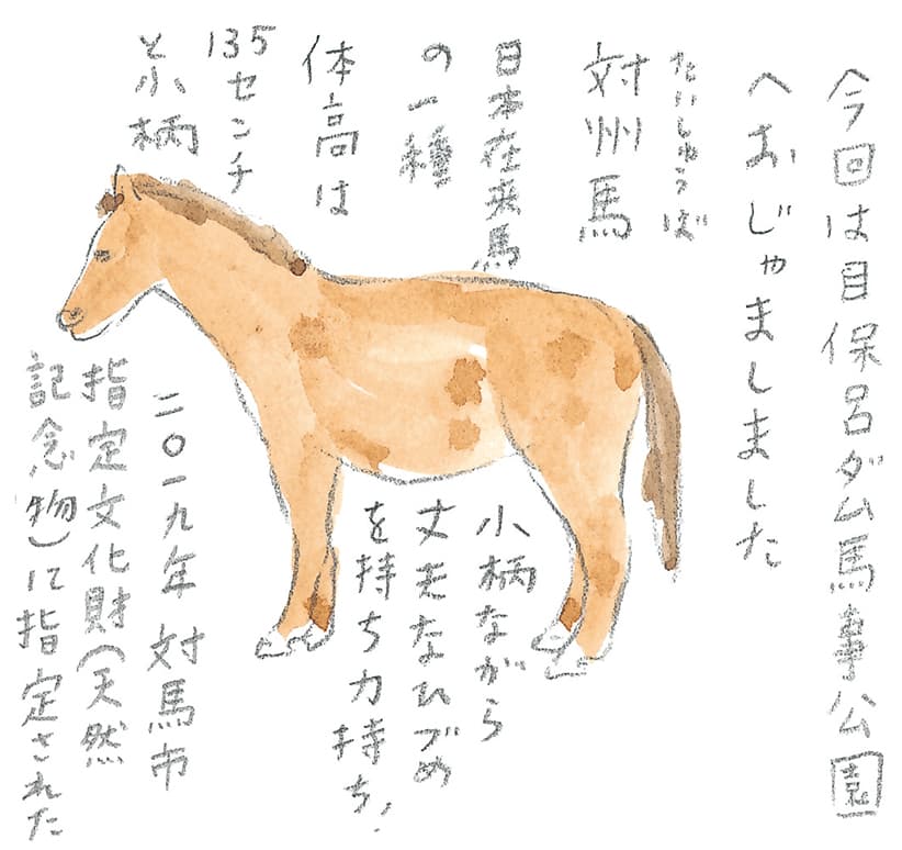 第8回 対馬で天然記念物とふれ合う - 1/3
