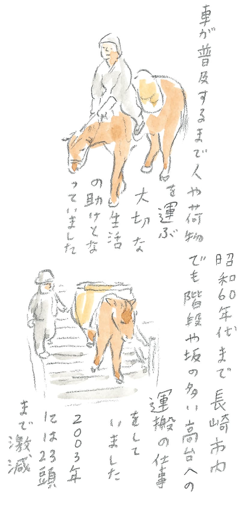 第8回 対馬で天然記念物とふれ合う - 2/3