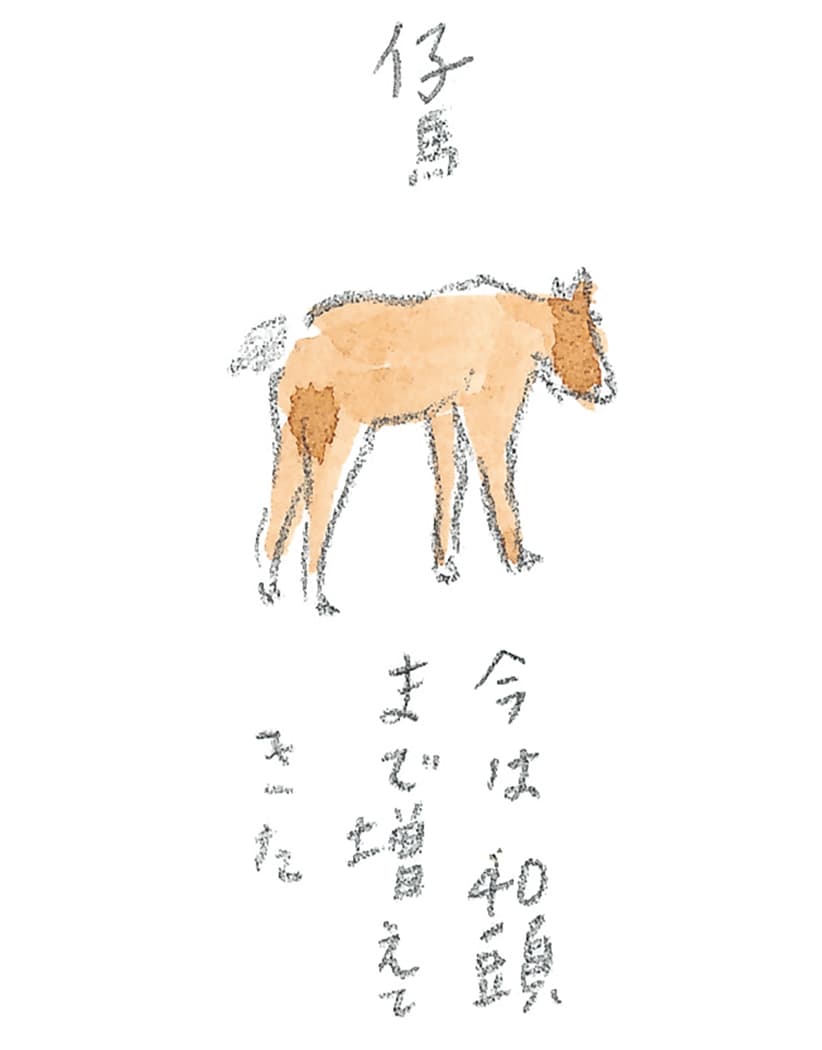 第8回 対馬で天然記念物とふれ合う - 3/3