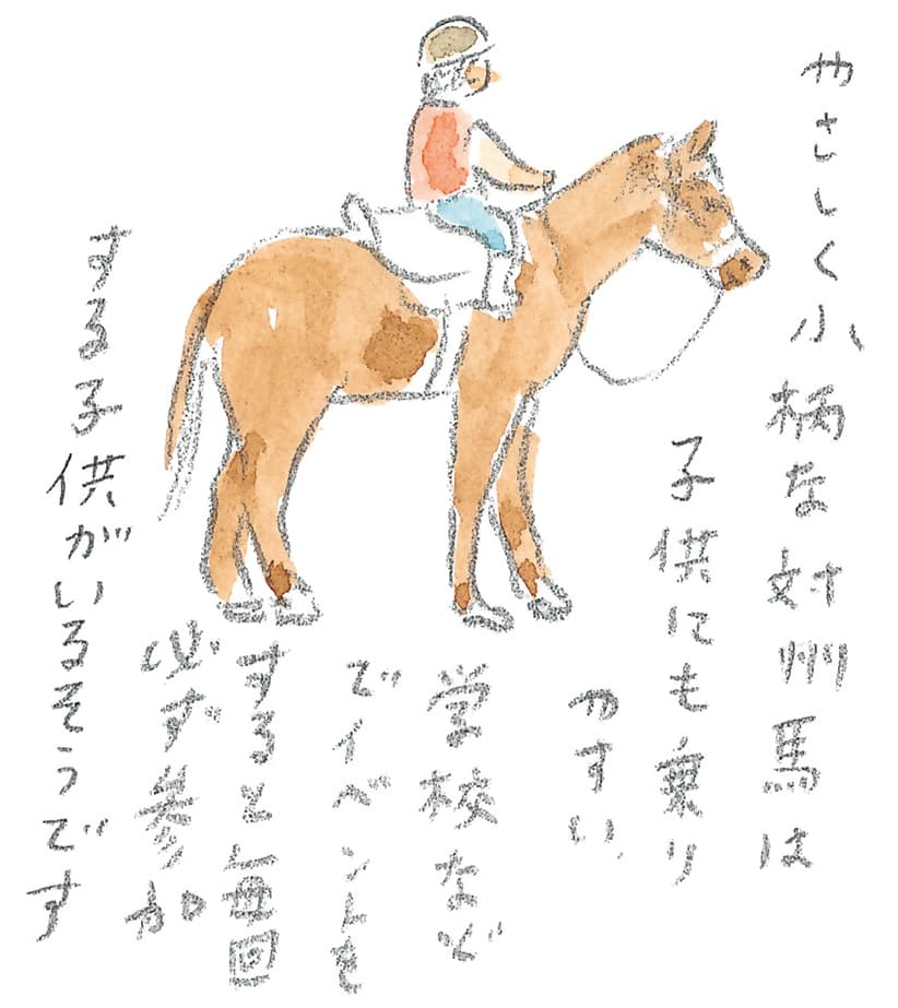 第8回 対馬で天然記念物とふれ合う - 2/3