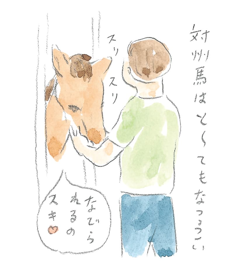 第8回 対馬で天然記念物とふれ合う - 1/3