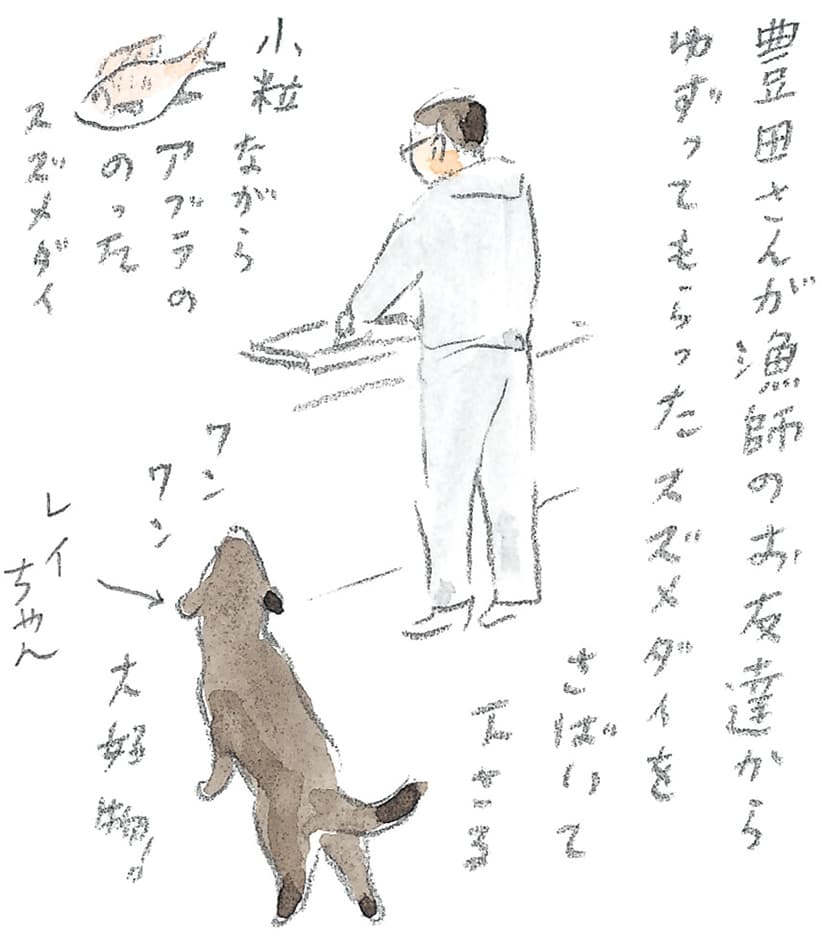 第8回 対馬で天然記念物とふれ合う - 2/3