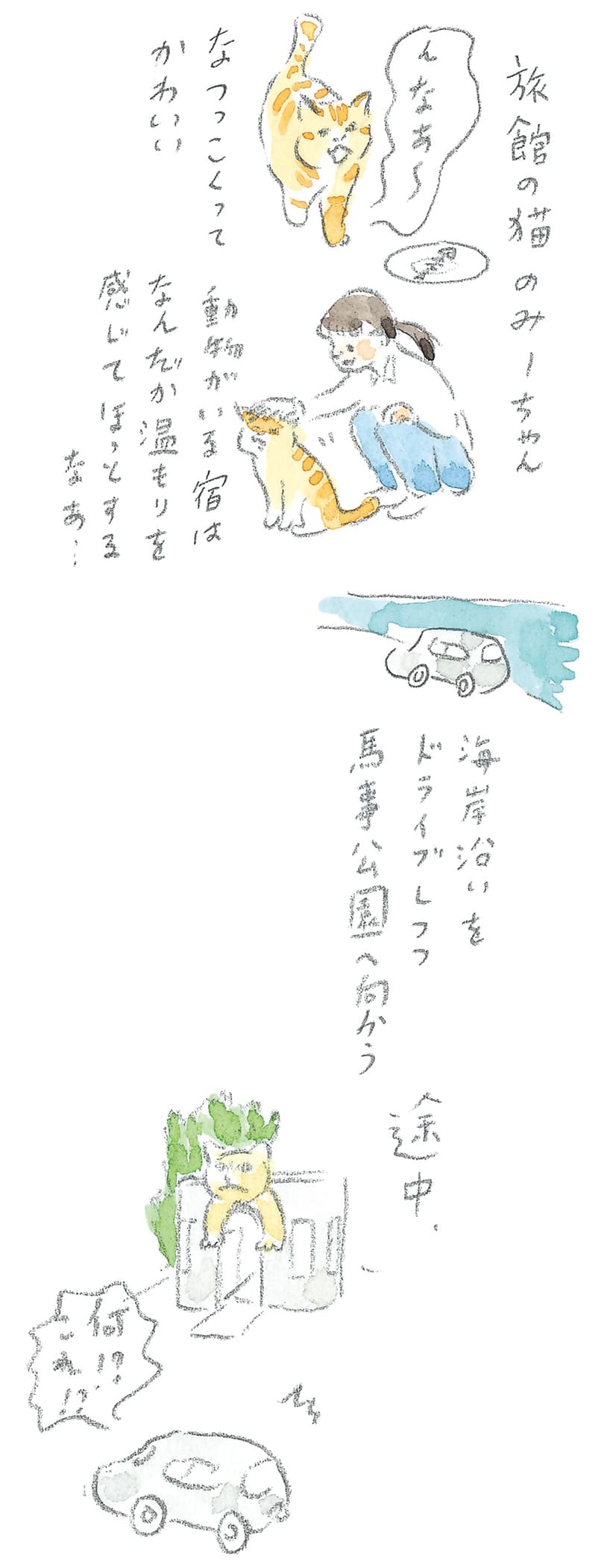 第8回 対馬で天然記念物とふれ合う - 2/3