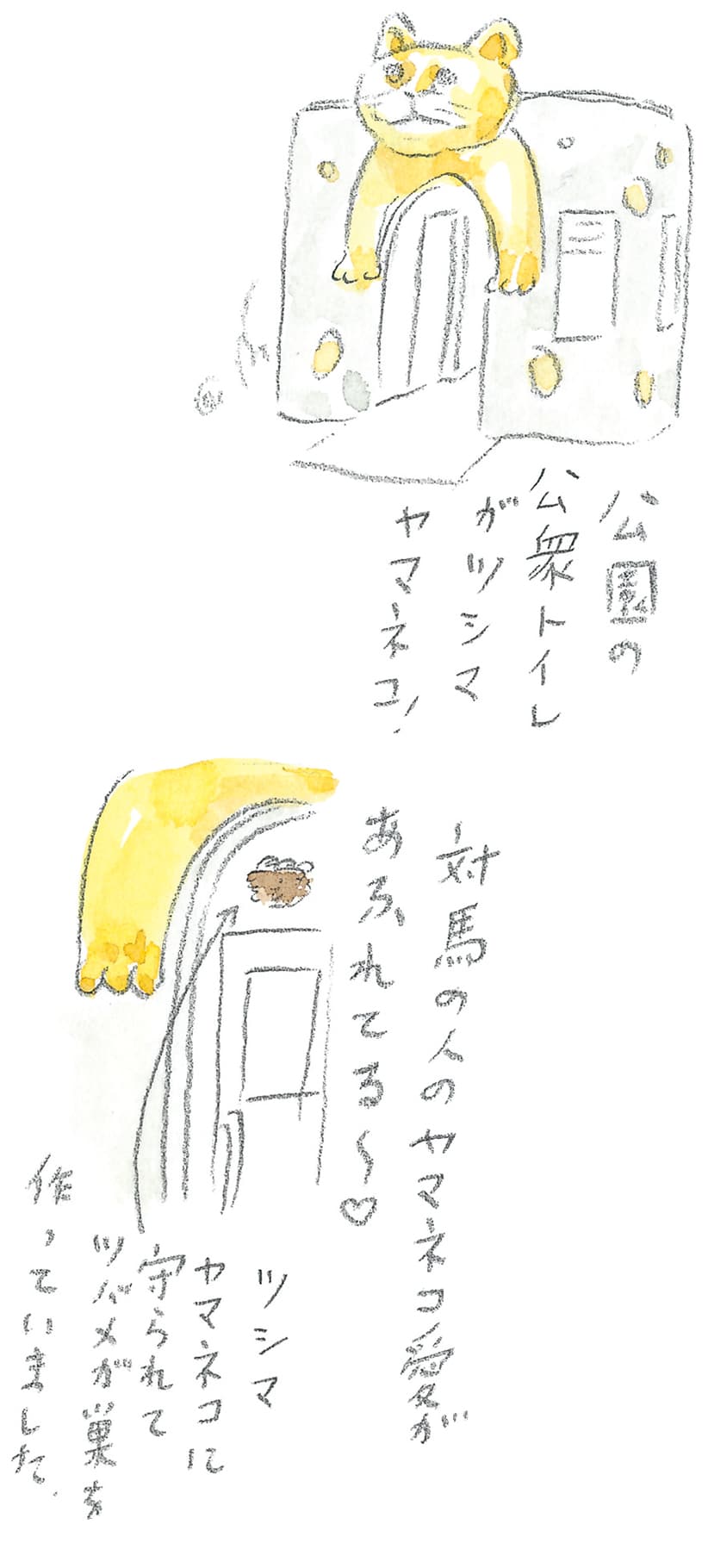 第8回 対馬で天然記念物とふれ合う - 3/3