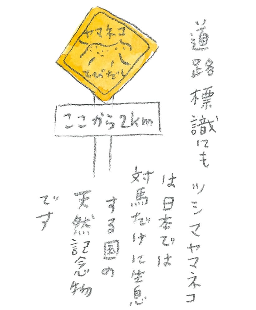 第8回 対馬で天然記念物とふれ合う - 1/3